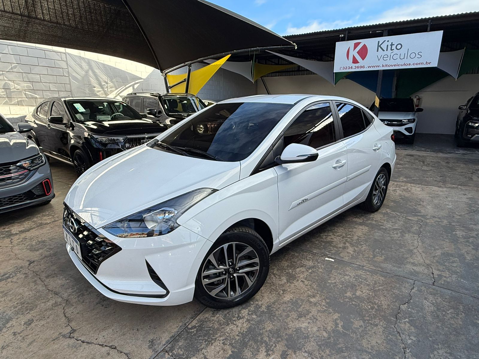 WhatsApp Image 2026-01-24 at 09.36.46